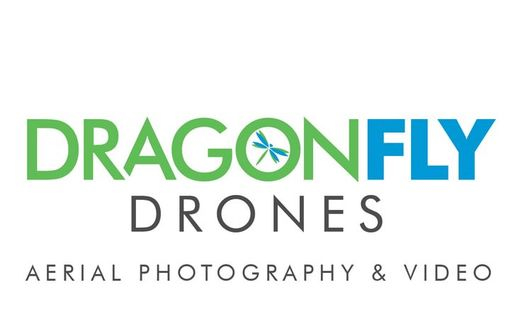 Dragonfly Drones